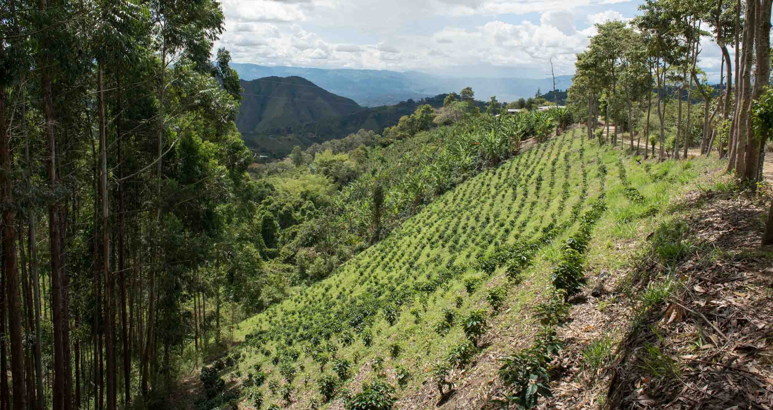 20170830-Colombia2017-©BryanClifton-DSC_9747