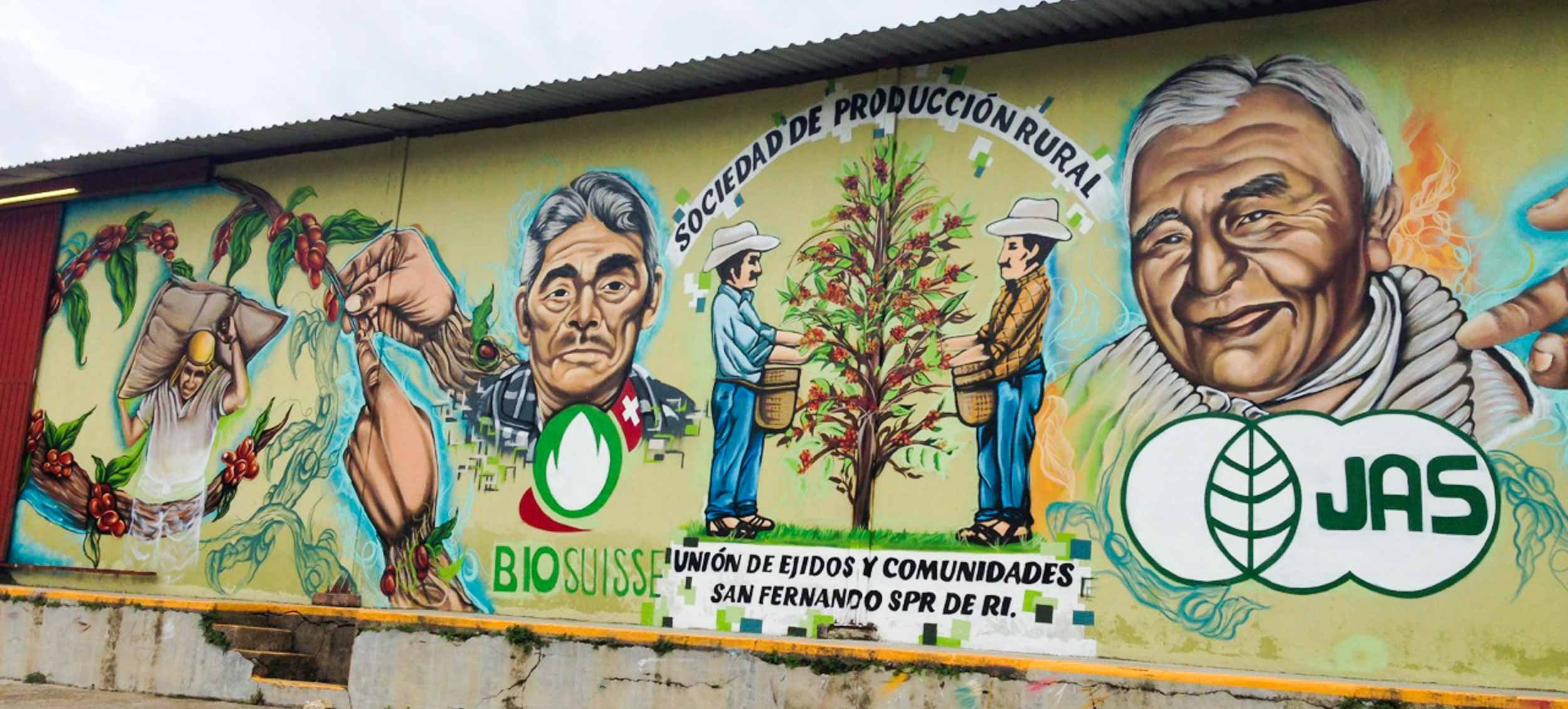 Ejidos San Fernando