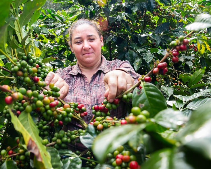 ANA JULIA MONTENEGRO2