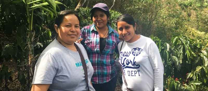 Sustainable Harvest Coffee Importers
