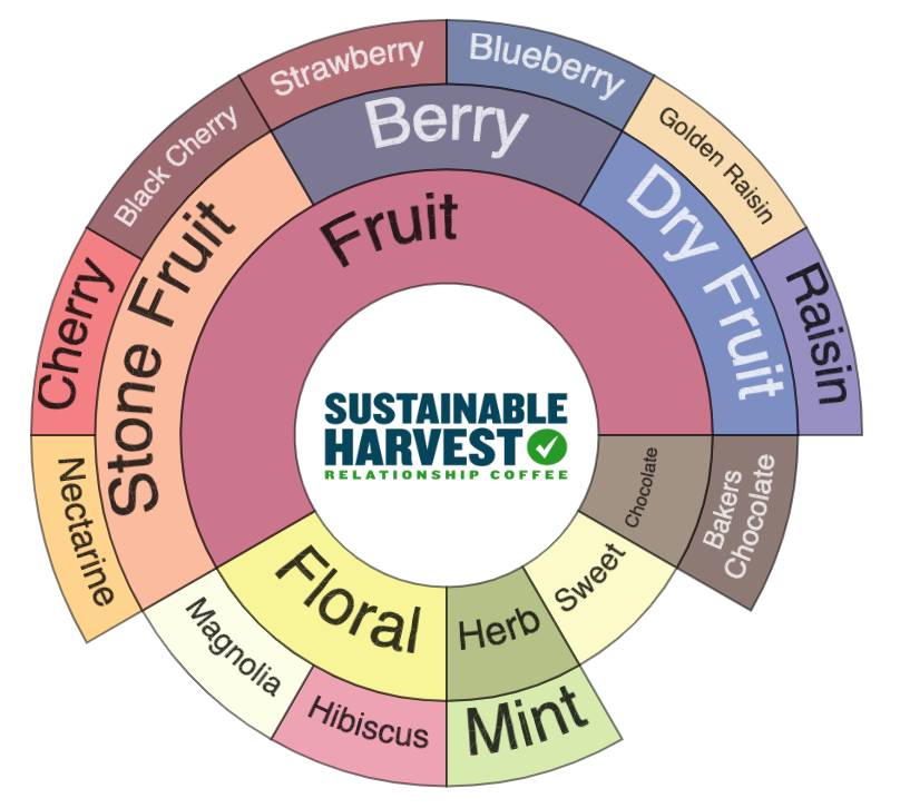 ESF Natural Gesha flavor wheel