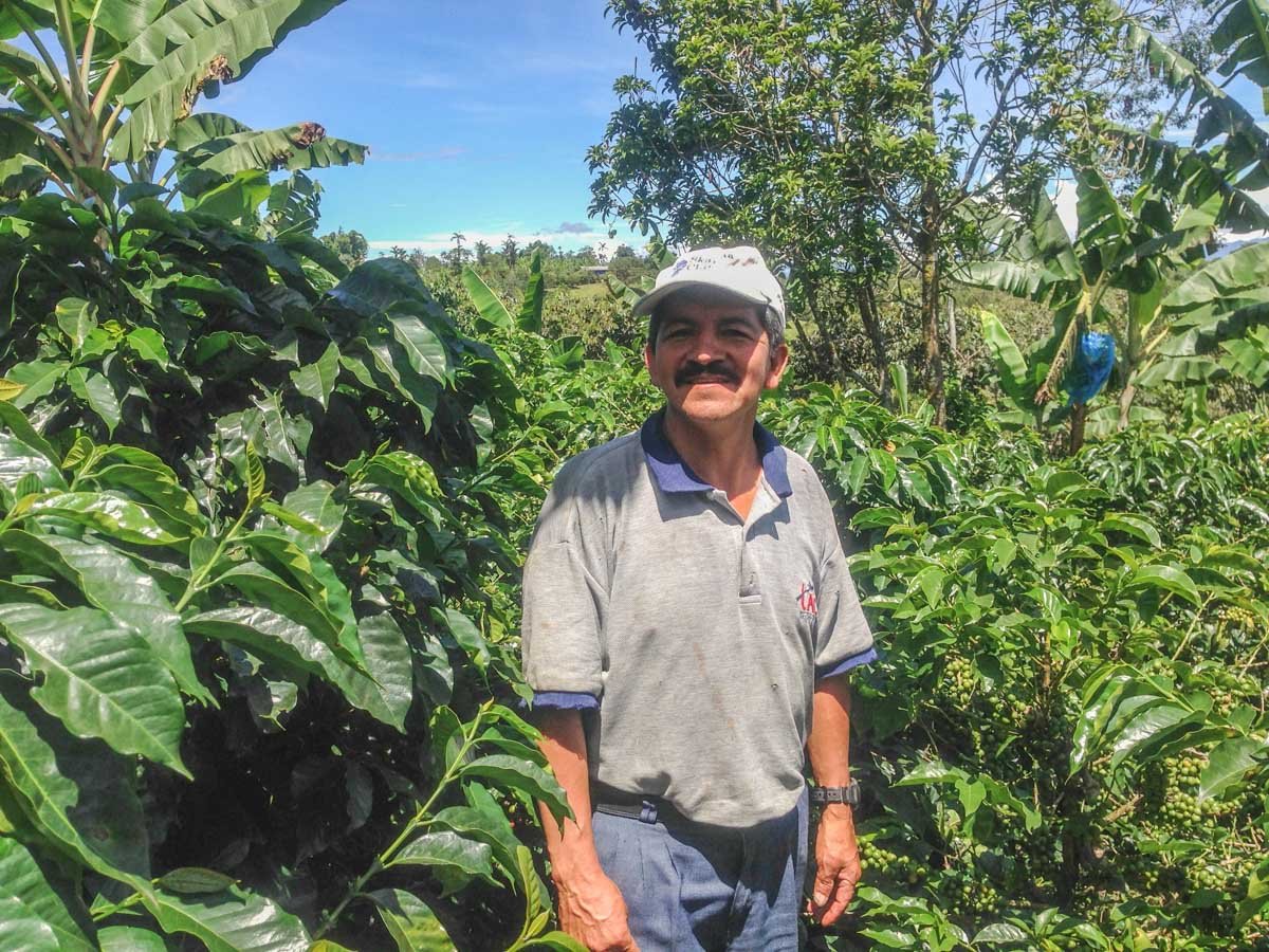 Federacion Campesina del Cauca