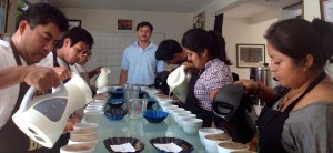 Cupping underway at Sustainable Harvest's<sup>®</sup> Oaxaca office. 