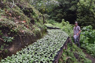 Cooagronevada-1