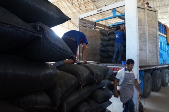 Dry mill 1