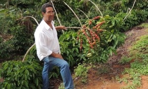 Fazenda Sitio Sao Bento 1