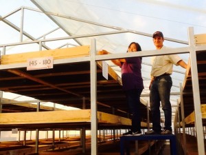 Isabel checking out coffee drying in microlots