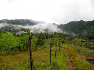 lamula2