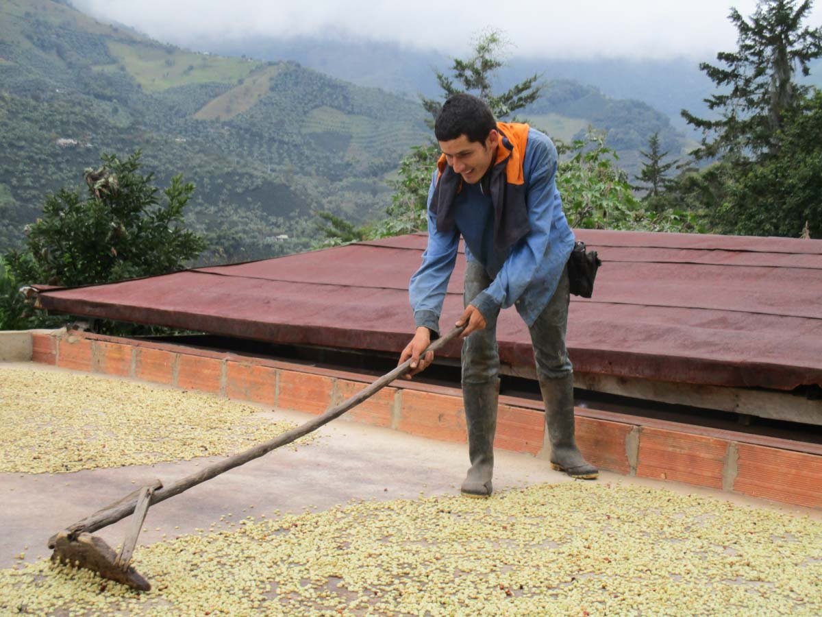 Nueva Generacion Cafetera