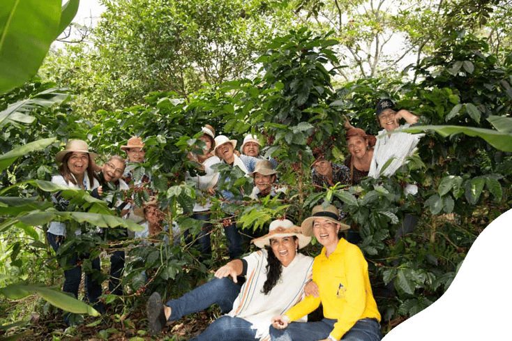 Risaralda shapes