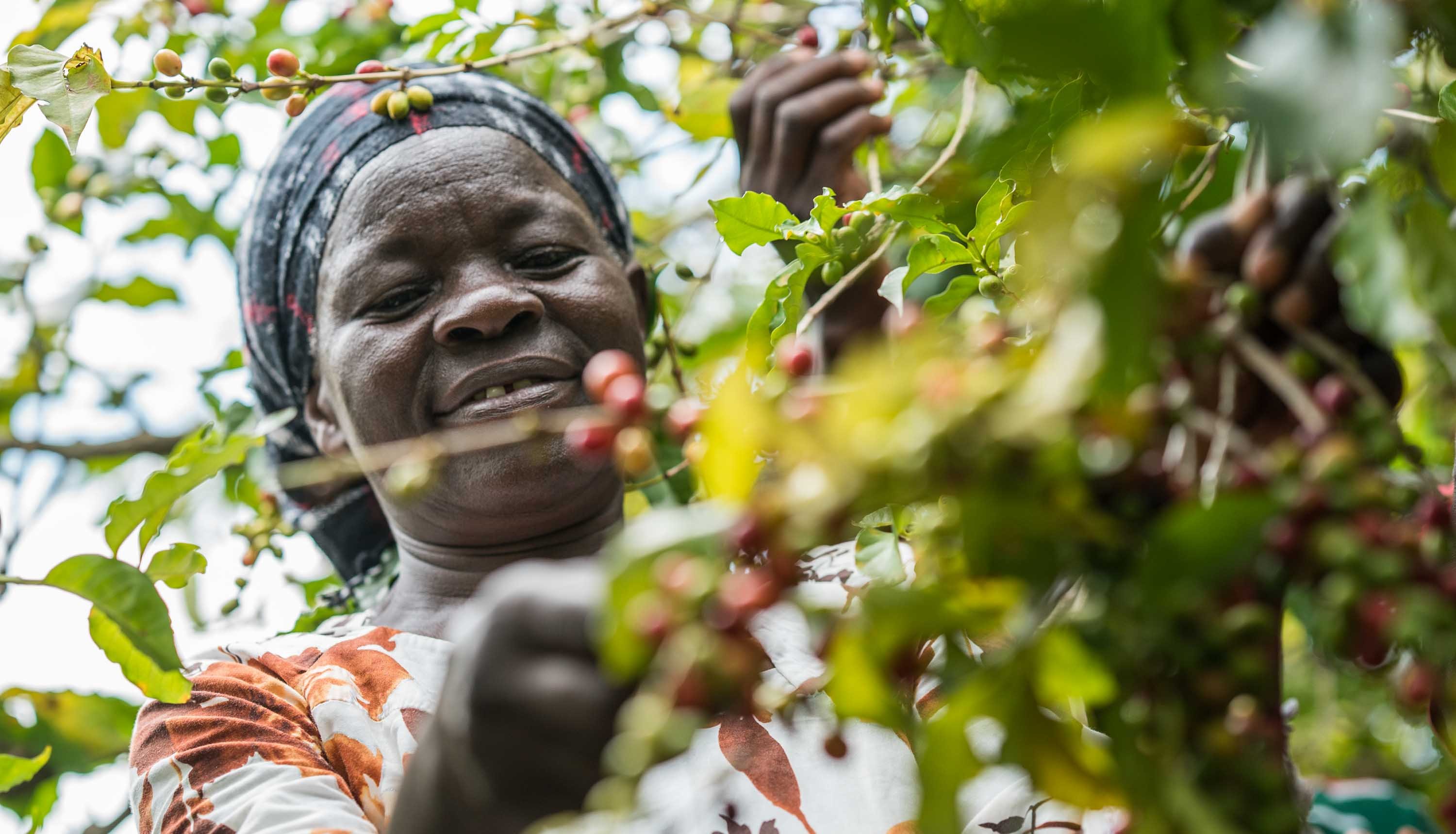 Rwanda Footer