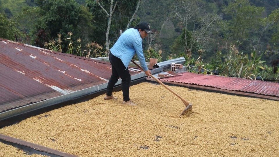 WhatsApp Image 2026-03-05 at 17.52.19