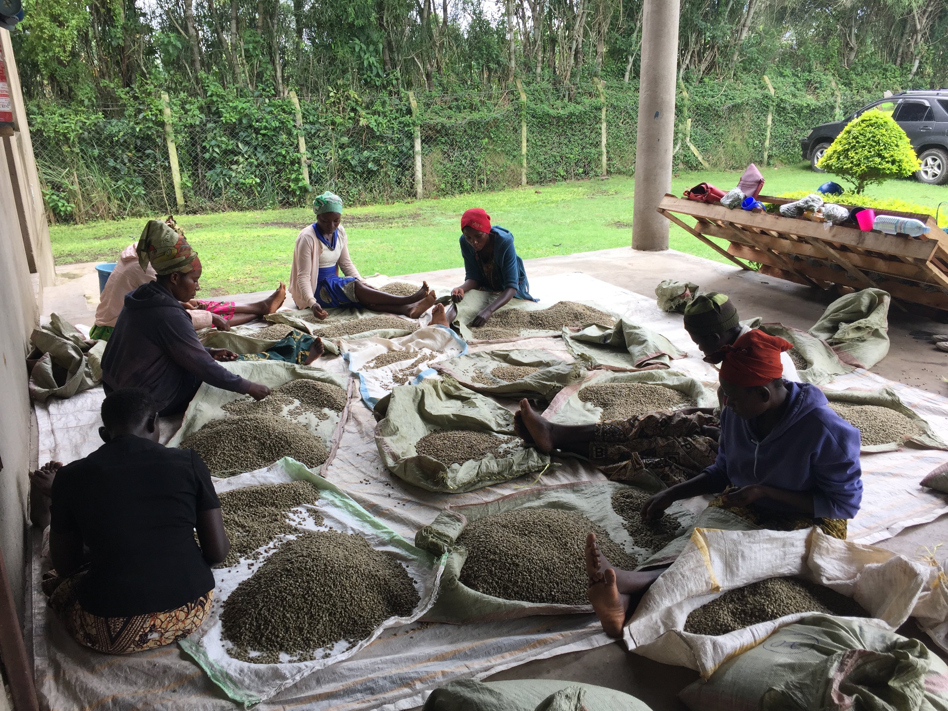 women sorting (1)