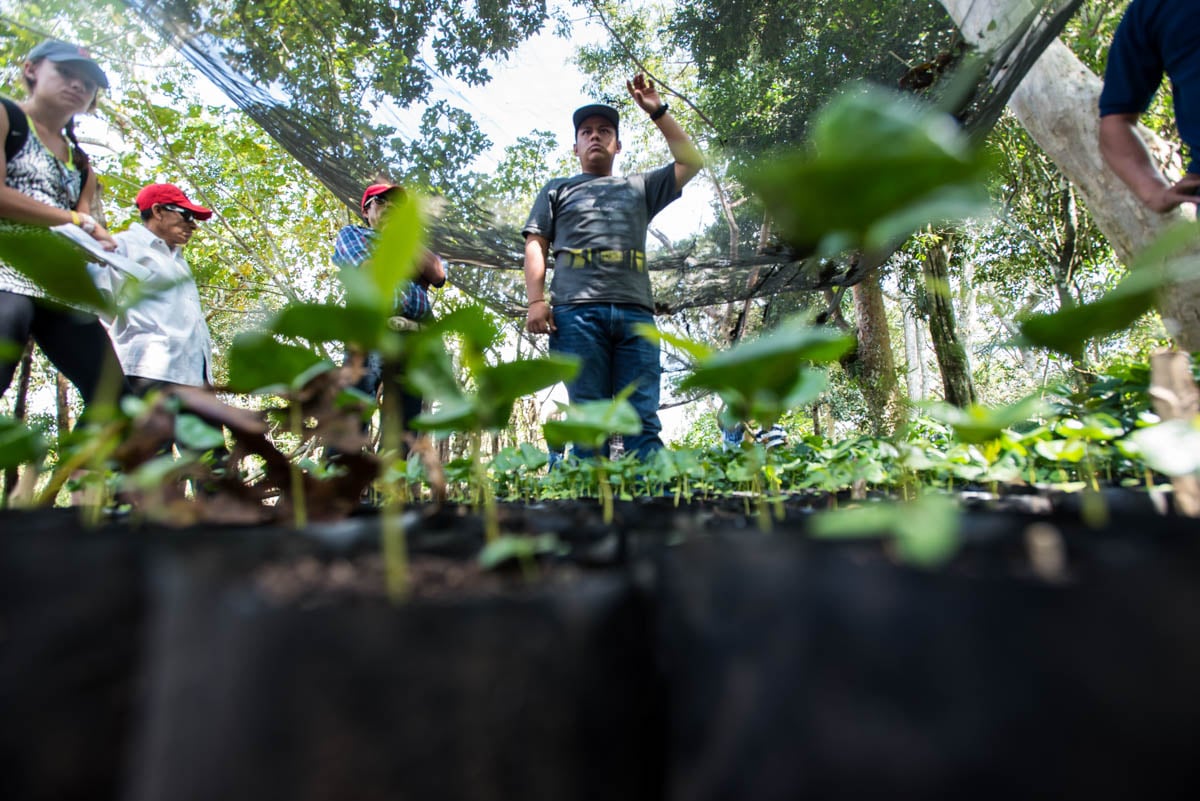 Let's Talk Coffee Field Trip