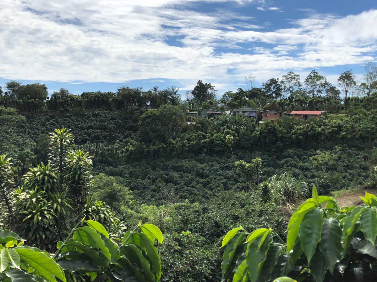 Costa Rica Landscape