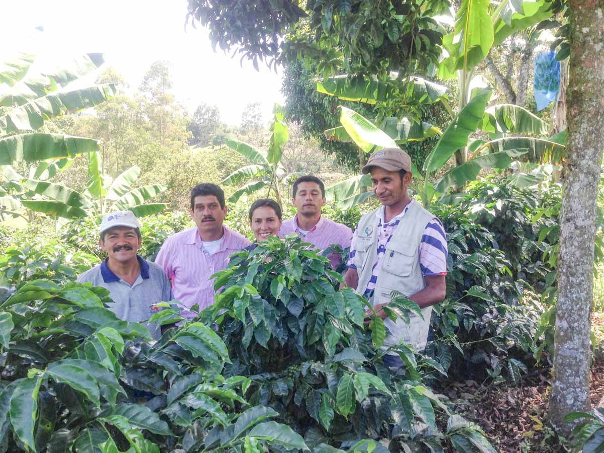 Federacion Campesina del Cauca