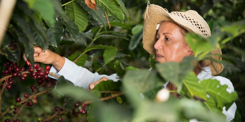 Mujer Risaralda